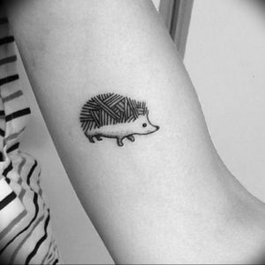 Фото вариант тату ежик 31.07.2019 №004 - tattoo hedgehog - tattoo-photo.ru