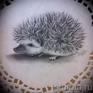 Фото вариант тату ежик 31.07.2019 №016 - tattoo hedgehog - tattoo-photo.ru