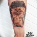 Фото вариант тату ежик 31.07.2019 №020 - tattoo hedgehog - tattoo-photo.ru