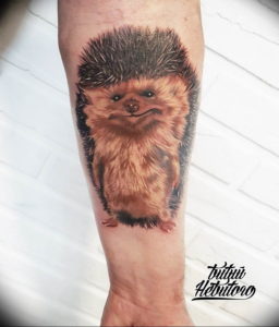 Фото вариант тату ежик 31.07.2019 №020 - tattoo hedgehog - tattoo-photo.ru