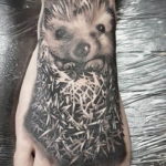 Фото вариант тату ежик 31.07.2019 №021 - tattoo hedgehog - tattoo-photo.ru