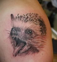 Фото вариант тату ежик 31.07.2019 №027 — tattoo hedgehog — tattoo-photo.ru