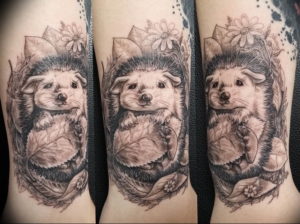 Фото вариант тату ежик 31.07.2019 №032 - tattoo hedgehog - tattoo-photo.ru