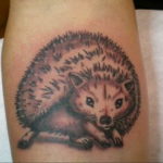 Фото вариант тату ежик 31.07.2019 №033 - tattoo hedgehog - tattoo-photo.ru