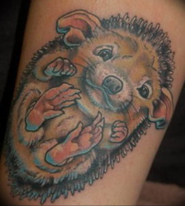 Фото вариант тату ежик 31.07.2019 №034 - tattoo hedgehog - tattoo-photo.ru