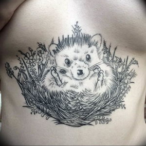Фото вариант тату ежик 31.07.2019 №047 - tattoo hedgehog - tattoo-photo.ru