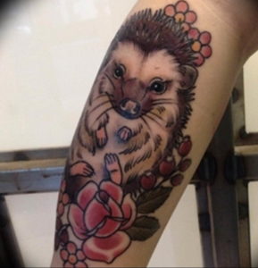 Фото вариант тату ежик 31.07.2019 №065 - tattoo hedgehog - tattoo-photo.ru