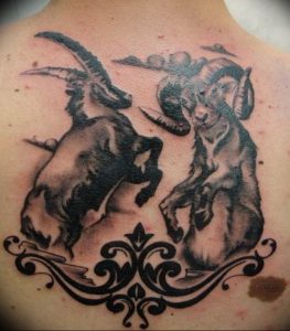 Фото созвездие козерога тату 12.07.2019 №043 - Capricornus Tattoo - tattoo-photo.ru