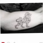 Фото созвездие льва тату 12.07.2019 №004 - constellation lion tattoo - tattoo-photo.ru