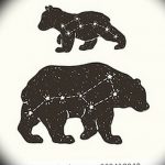 Фото созвездие медведицы тату 12.07.2019 №008 - constellation bears tatt - tattoo-photo.ru