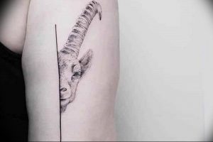 Фото созвездие овна тату 12.07.2019 №038 - constellation ram tattoo - tattoo-photo.ru