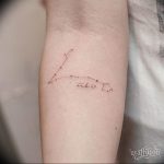 Фото созвездие рыбы тату 12.07.2019 №013 - constellation fish tattoo - tattoo-photo.ru