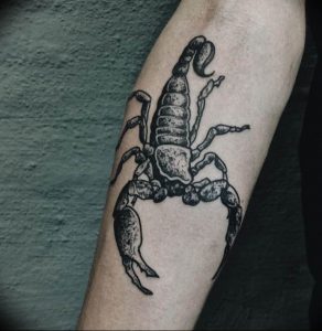 Фото созвездие скорпиона тату 12.07.2019 №051 - constellation scorpion ta - tattoo-photo.ru