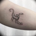 Фото созвездие скорпиона тату 12.07.2019 №054 - constellation scorpion ta - tattoo-photo.ru