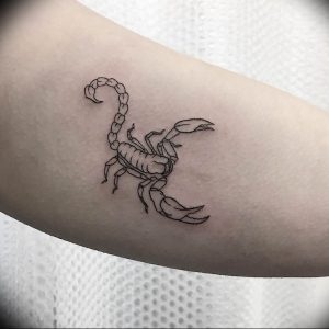 Фото созвездие скорпиона тату 12.07.2019 №054 - constellation scorpion ta - tattoo-photo.ru