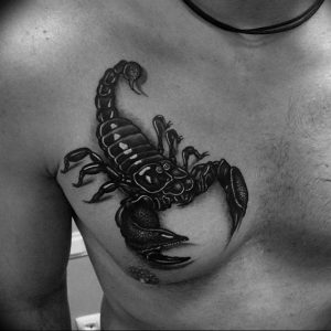 Фото созвездие скорпиона тату 12.07.2019 №065 - constellation scorpion ta - tattoo-photo.ru