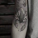 Фото созвездие скорпиона тату 12.07.2019 №067 - constellation scorpion ta - tattoo-photo.ru