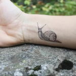 Фото тату улитка 28.07.2019 №001 - snail tattoo - tattoo-photo.ru