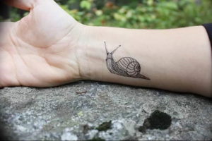 Фото тату улитка 28.07.2019 №001 - snail tattoo - tattoo-photo.ru