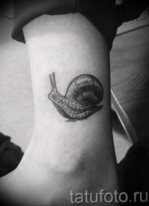 Фото тату улитка 28.07.2019 №002 - snail tattoo - tattoo-photo.ru