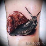 Фото тату улитка 28.07.2019 №004 - snail tattoo - tattoo-photo.ru