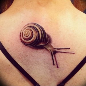 Фото тату улитка 28.07.2019 №005 - snail tattoo - tattoo-photo.ru