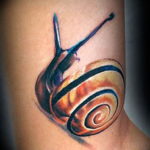 Фото тату улитка 28.07.2019 №010 - snail tattoo - tattoo-photo.ru