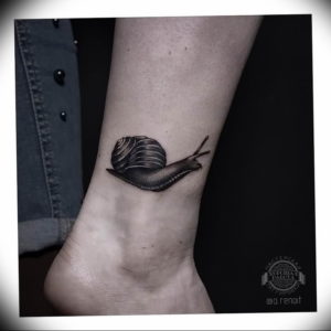 Фото тату улитка 28.07.2019 №013 - snail tattoo - tattoo-photo.ru