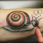 Фото тату улитка 28.07.2019 №028 - snail tattoo - tattoo-photo.ru