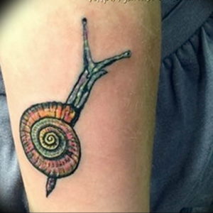 Фото тату улитка 28.07.2019 №040 - snail tattoo - tattoo-photo.ru