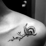 Фото тату улитка 28.07.2019 №041 - snail tattoo - tattoo-photo.ru