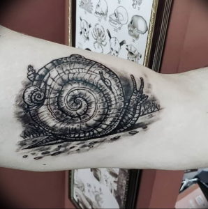 Фото тату улитка 28.07.2019 №044 - snail tattoo - tattoo-photo.ru