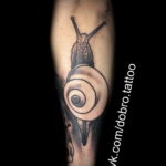 Фото тату улитка 28.07.2019 №045 - snail tattoo - tattoo-photo.ru