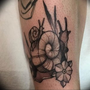 Фото тату улитка 28.07.2019 №061 - snail tattoo - tattoo-photo.ru