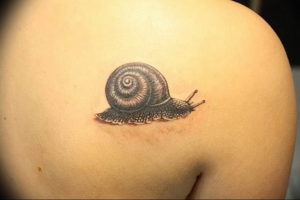 Фото тату улитка 28.07.2019 №069 - snail tattoo - tattoo-photo.ru
