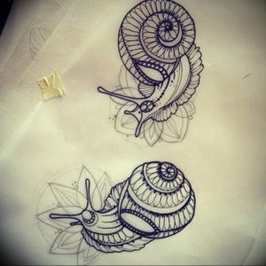 Фото тату улитка 28.07.2019 №071 - snail tattoo - tattoo-photo.ru