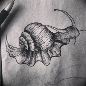 Фото тату улитка 28.07.2019 №079 - snail tattoo - tattoo-photo.ru