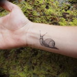 Фото тату улитка 28.07.2019 №084 - snail tattoo - tattoo-photo.ru