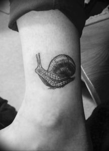 Фото тату улитка 28.07.2019 №096 - snail tattoo - tattoo-photo.ru