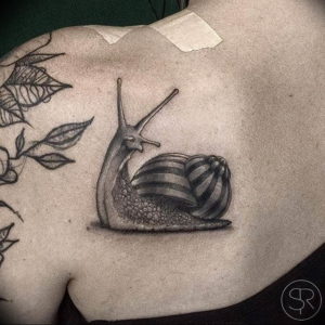 Фото тату улитка 28.07.2019 №098 - snail tattoo - tattoo-photo.ru