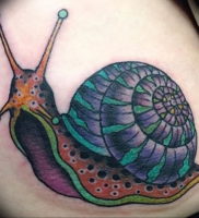 Фото тату улитка 28.07.2019 №102 — snail tattoo — tattoo-photo.ru