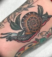 Фото тату улитка 28.07.2019 №104 — snail tattoo — tattoo-photo.ru