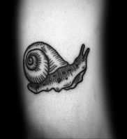 Фото тату улитка 28.07.2019 №105 — snail tattoo — tattoo-photo.ru