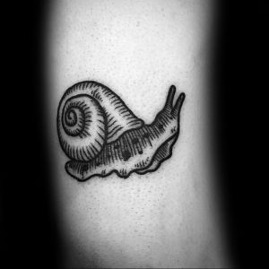 Фото тату улитка 28.07.2019 №105 - snail tattoo - tattoo-photo.ru
