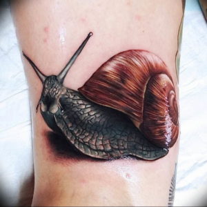 Фото тату улитка 28.07.2019 №107 - snail tattoo - tattoo-photo.ru