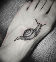 Фото тату улитка 28.07.2019 №130 — snail tattoo — tattoo-photo.ru