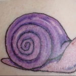 Фото тату улитка 28.07.2019 №149 - snail tattoo - tattoo-photo.ru