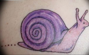 Фото тату улитка 28.07.2019 №149 - snail tattoo - tattoo-photo.ru