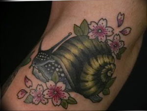 Фото тату улитка 28.07.2019 №158 - snail tattoo - tattoo-photo.ru