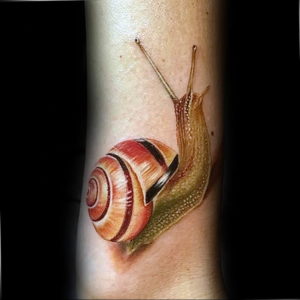 Фото тату улитка 28.07.2019 №171 - snail tattoo - tattoo-photo.ru